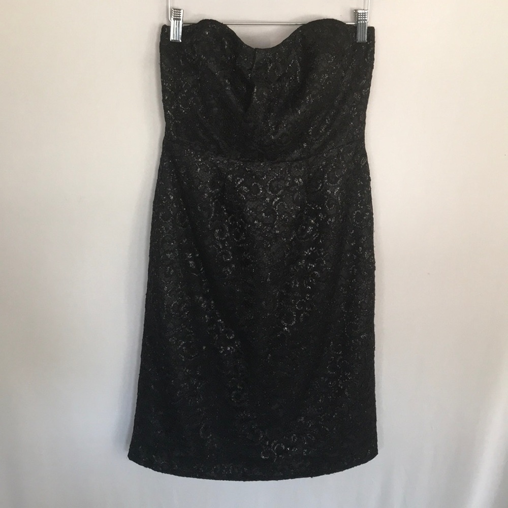 J Crew Tinsley lace evening dress